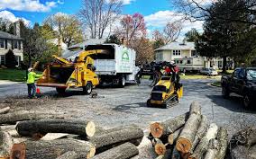 Best Leaf Removal  in Sunset Beach, NC