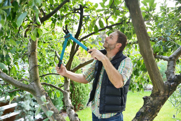 Best Lawn Watering Services  in Sunset Beach, NC